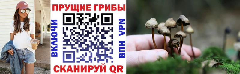 Псилоцибиновые грибы ЛСД  Купить закладки  Дюртюли 